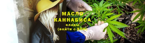дживик Бронницы