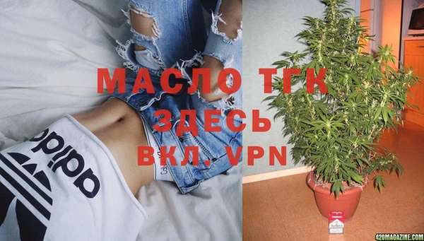 гидра Богородск