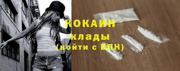 таблы Богородицк