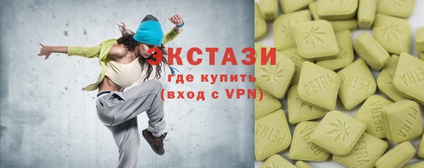 гидра Богородск