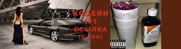 дживик Бронницы