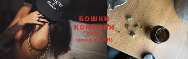таблы Бородино