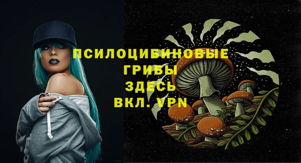 дживик Бронницы