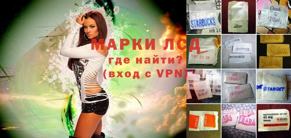 таблы Бородино