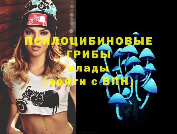 таблы Бородино