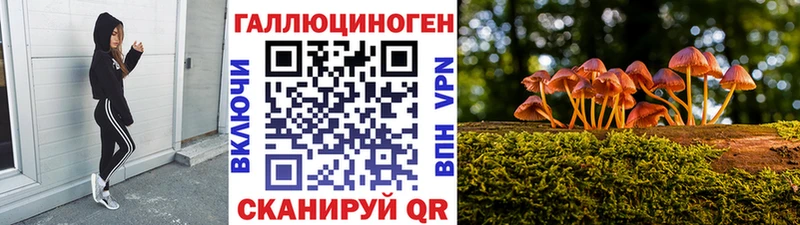 где купить наркотик  Горячий Ключ  Псилоцибиновые грибы мицелий 